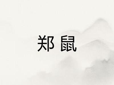 郑鼠