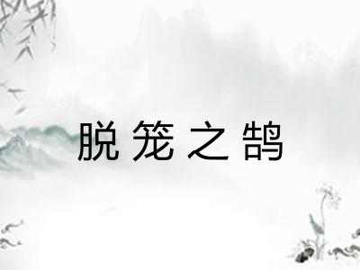 脱笼之鹄