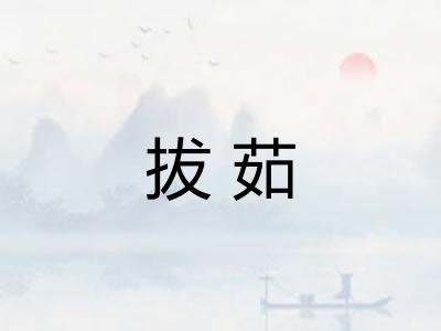 拔茹