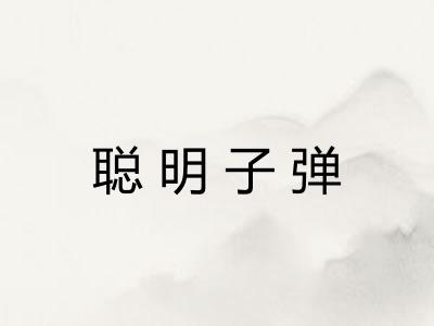 聪明子弹