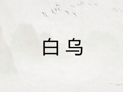 白乌
