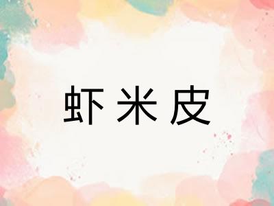 虾米皮