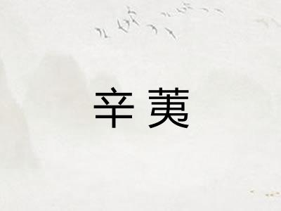 辛荑