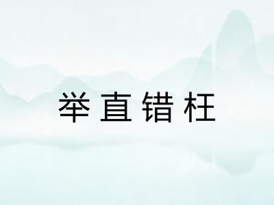 举直错枉