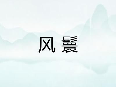风鬟