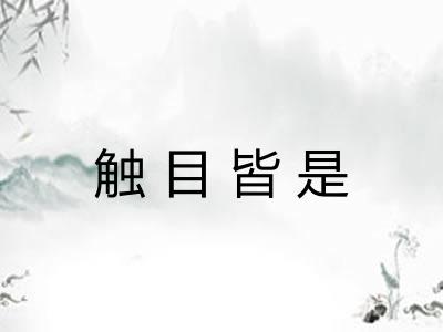 触目皆是