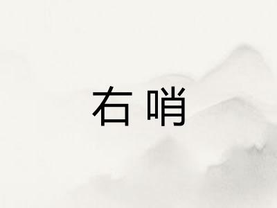 右哨