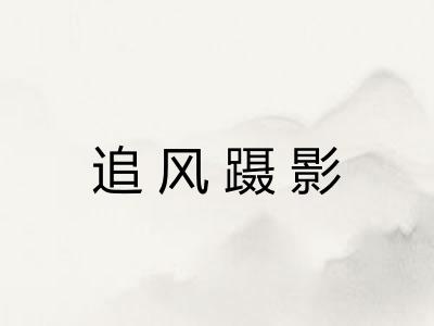 追风蹑影
