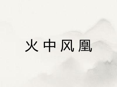 火中风凰