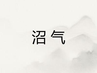 沼气