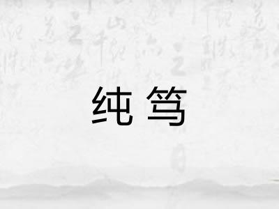 纯笃