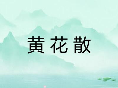 黄花散