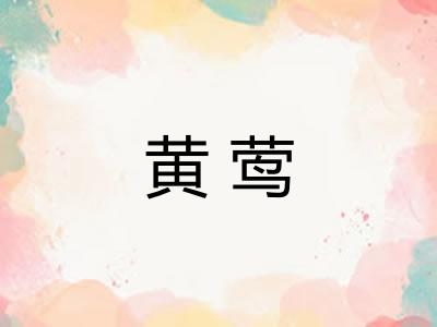 黄莺