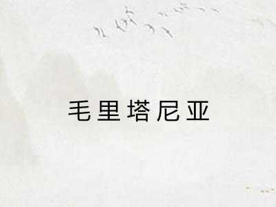 毛里塔尼亚