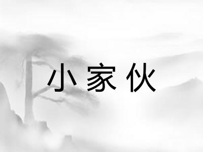 小家伙