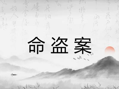 命盗案