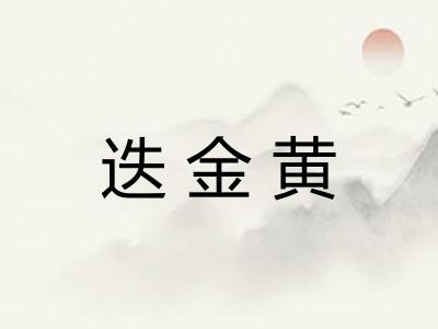 迭金黄