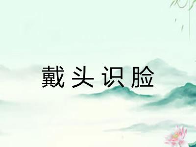 戴头识脸