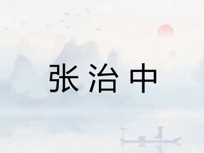 张治中