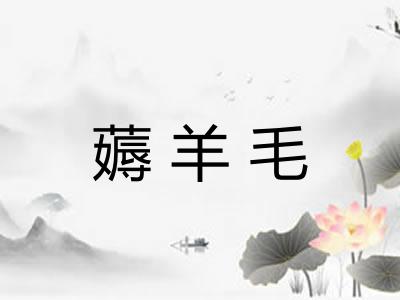 薅羊毛