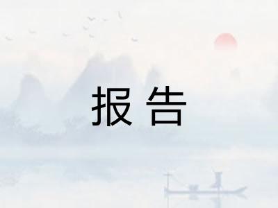 报告