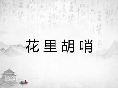 花里胡哨
