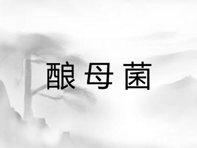 酿母菌