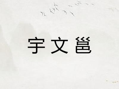 宇文邕