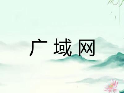 广域网