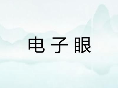 电子眼