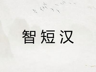 智短汉