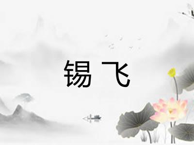 锡飞