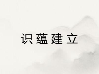 识蕴建立