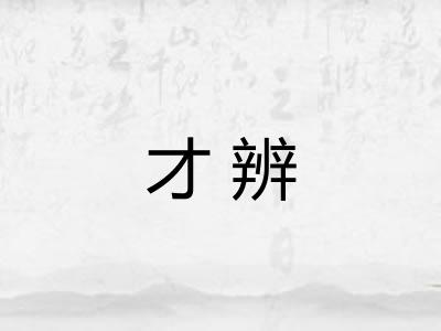 才辨