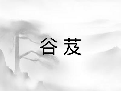 谷芨