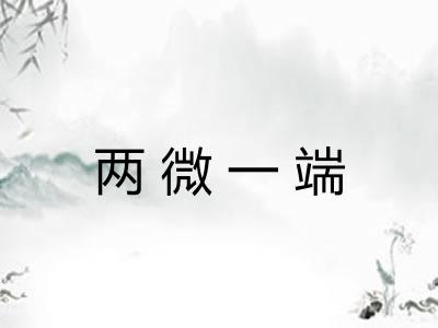 两微一端