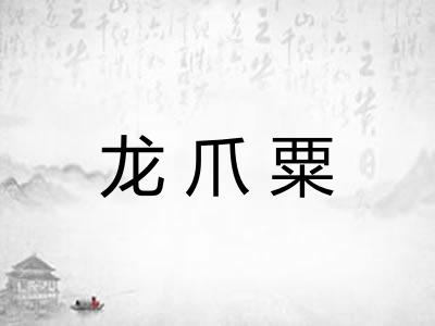 龙爪粟