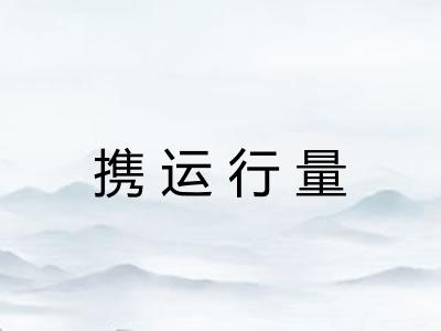 携运行量