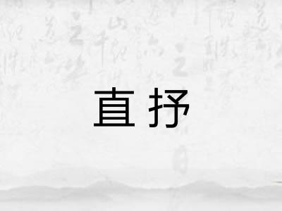 直抒