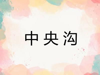 中央沟