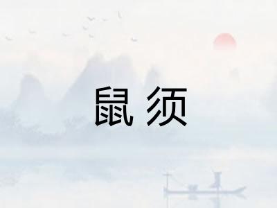 鼠须