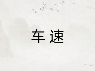 车速