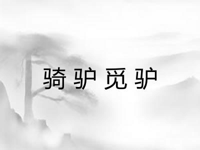 骑驴觅驴