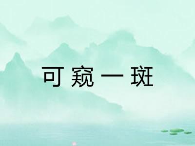 可窥一斑