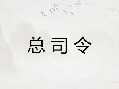 总司令