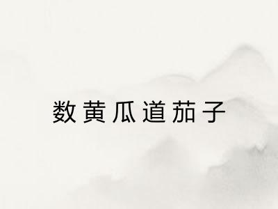 数黄瓜道茄子