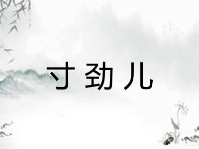 寸劲儿