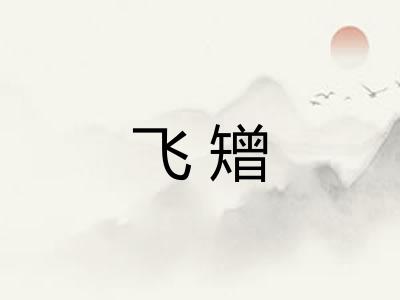 飞矰