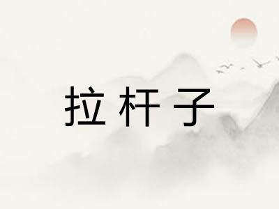拉杆子