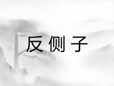 反侧子